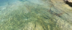 IMG_0717