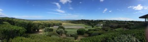 IMG_0723