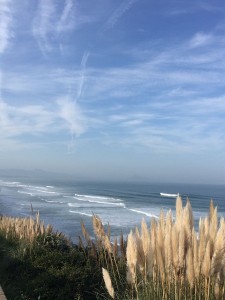 IMG 0677