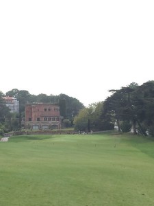IMG 0678