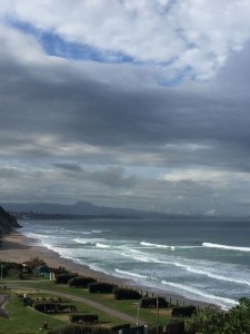 IMG 0779 